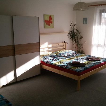 Apartman Zdar Ждяр-над-Сазавоу Экстерьер фото